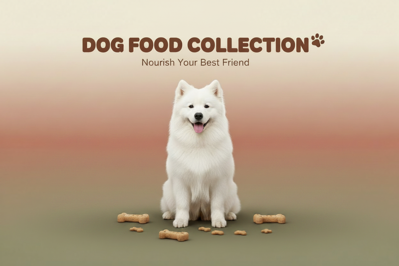 Dog Food