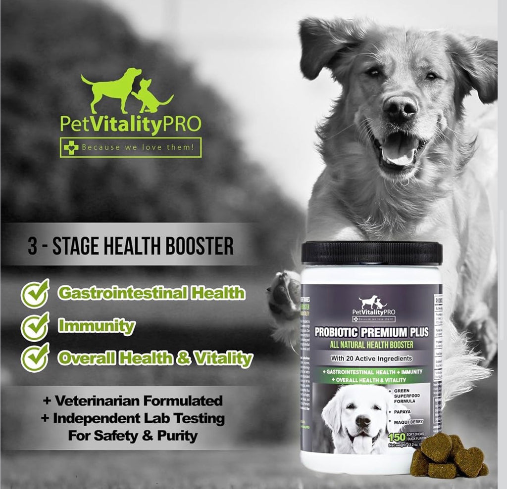3 Packs Petvitalitypro Probiotics For Dogs with Natural Digestive Enzymes 4 Bill CFUs/2 Soft Chews Dog Diarrhea Upset Stomach Yeast Gas Bad Breath Immunity Allergies Skin Itching Hot Spots 60 chews each Jar