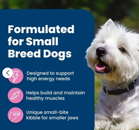 Blue Buffalo Life Protection Formula Small Breed Dry Dog Food Chicken & Brown Rice 5 lbs.